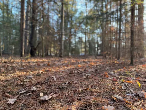 Lot 1 Hamblin Street, Hayward, WI 54843