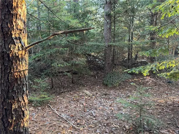 Lot 1 Hamblin Street, Hayward, WI 54843