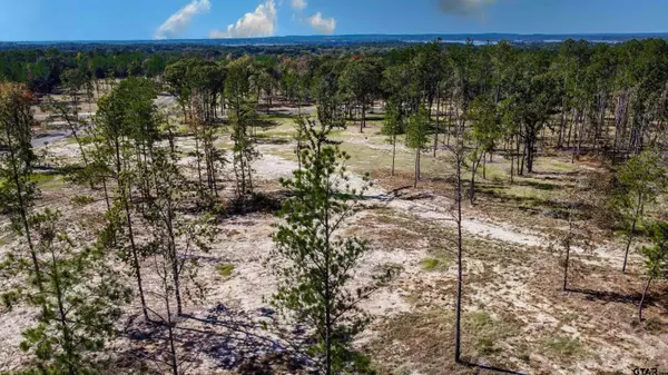 16078 Aniston Lane (LOT 17), Flint, TX 75762