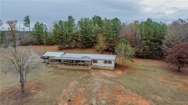 1197 County Road 60, Knoxville, AL 35469