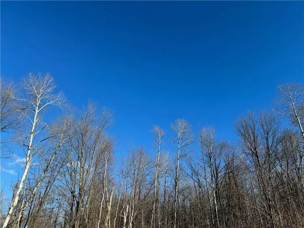 0 State Hwy 27, Ojibwa, WI 54862