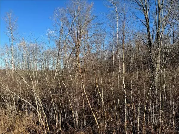 0 State Hwy 27, Ojibwa, WI 54862