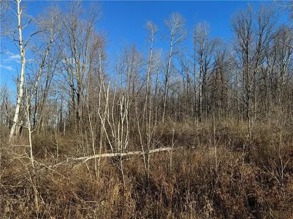 0 State Hwy 27, Ojibwa, WI 54862