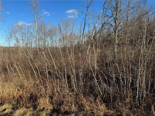 0 State Hwy 27, Ojibwa, WI 54862