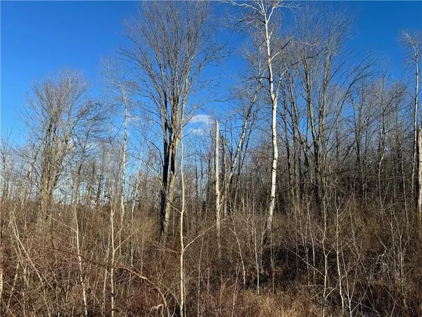 0 State Hwy 27, Ojibwa, WI 54862