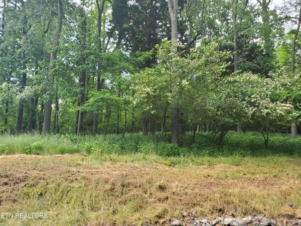 1625 Sequoyah DR, Mooresburg, TN 37811