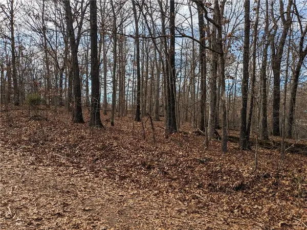 Lot 17 Thornhill Lane, Bella Vista, AR 72715