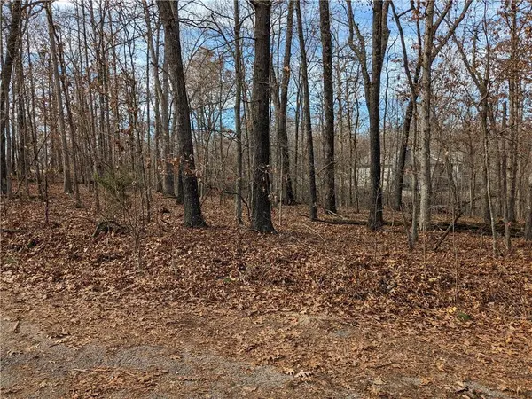 Lot 17 Thornhill Lane, Bella Vista, AR 72715