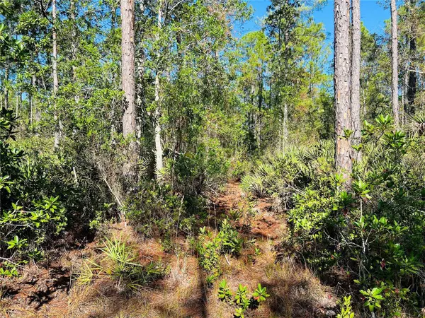 980 MORRIS PIKE WAY, Pierson, FL 32180