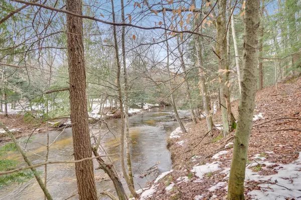 V/L Orchard Lane, Kaleva, MI 49645