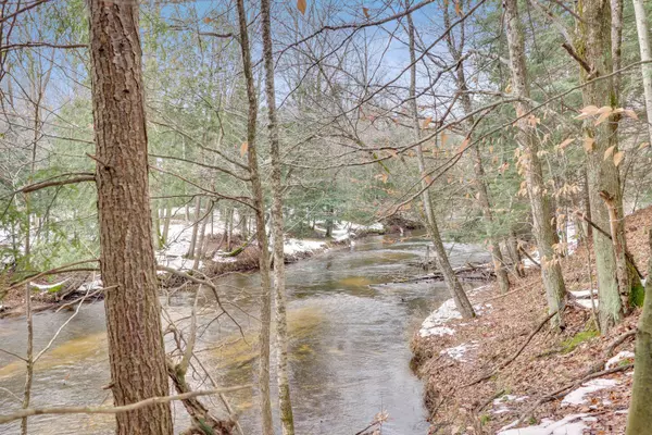 V/L Orchard Lane, Kaleva, MI 49645