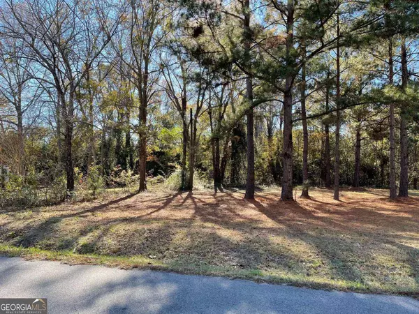 00 Ray ST, Dublin, GA 31021