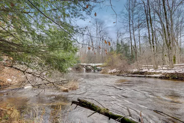 V/L Orchard Lane, Kaleva, MI 49645