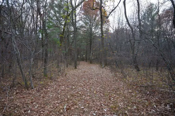 Lot 21 7th Street, Nekoosa, WI 54457