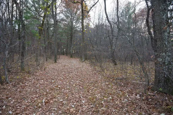 Lot 21 7th Street, Nekoosa, WI 54457