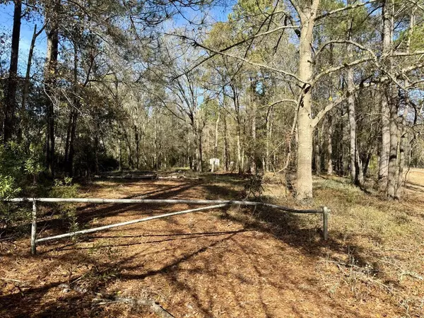 146 Blue King DR, Cross, SC 29436