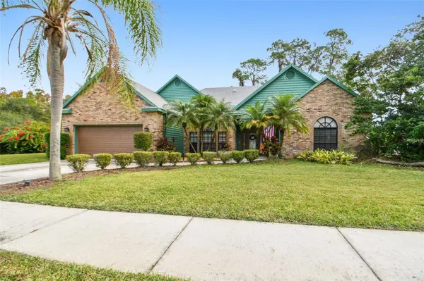 1521 HOLLEMAN DR, Valrico, FL 33596