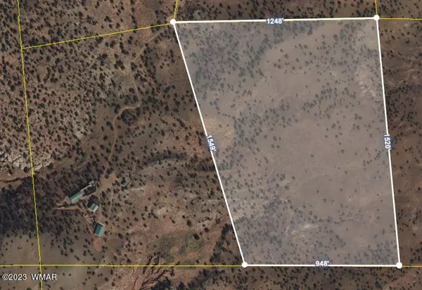 TBD County Road N8477, Concho, AZ 85924