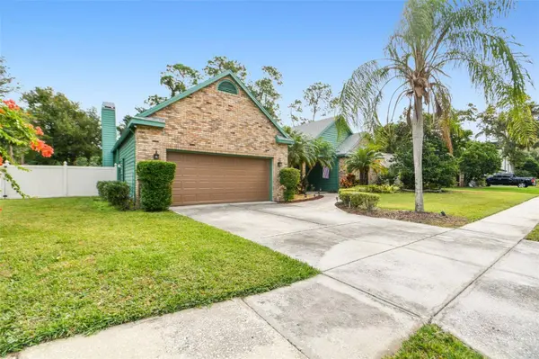 1521 HOLLEMAN DR, Valrico, FL 33596