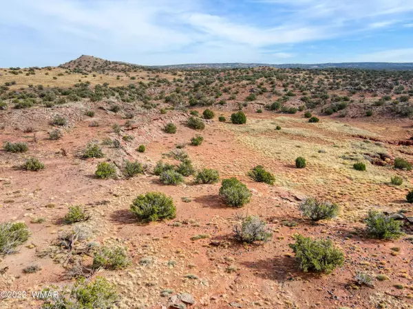 TBD County Road N8477, Concho, AZ 85924