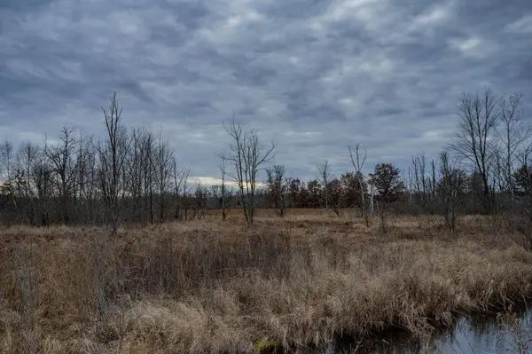 0 Highway 80, Necedah, WI 54646