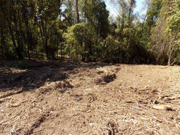 0 Maple DR, Bridgeport, OH 43912