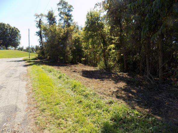 0 Maple DR, Bridgeport, OH 43912