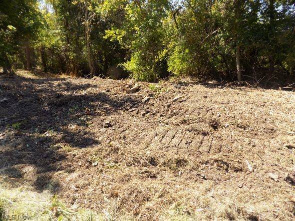 0 Maple DR, Bridgeport, OH 43912