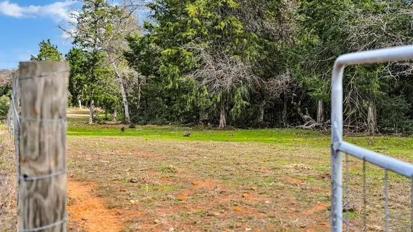 3896 County Road 326, Lexington, TX 78947