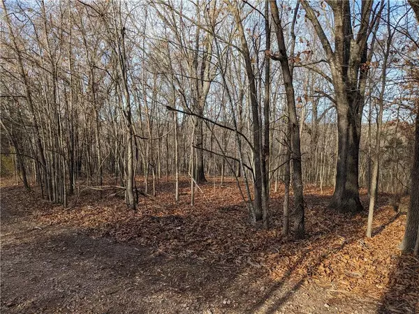 Lot 40 Hartlepool Lane, Bella Vista, AR 72715