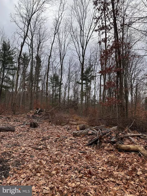 17607 COOKS RD, Cassville, PA 16623