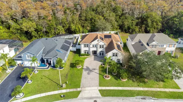 3213 EAGLE WATCH DR, Kissimmee, FL 34746