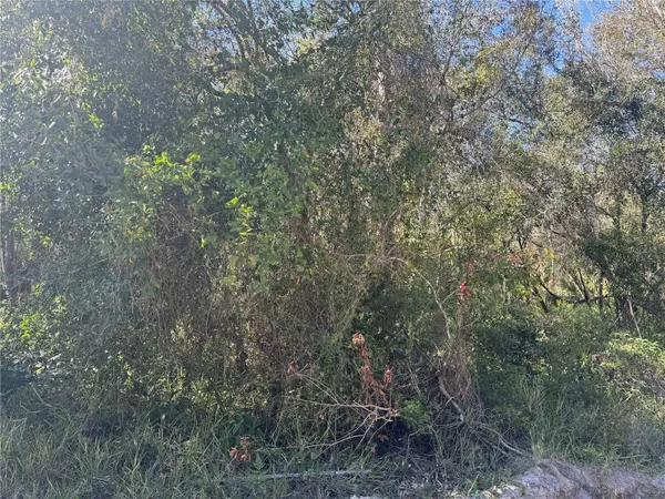 5405 NE RIVER RIDGE AVE, Arcadia, FL 34266