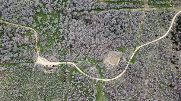 TBD FM 812, Red Rock, TX 78662