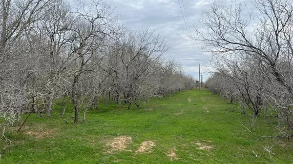 TBD FM 812, Red Rock, TX 78662