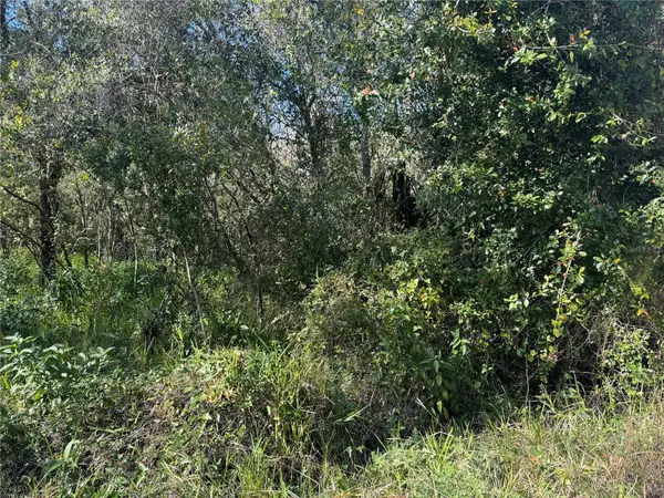 5405 NE RIVER RIDGE AVE, Arcadia, FL 34266