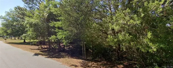 6929 W Sedate CT, Homosassa, FL 34446