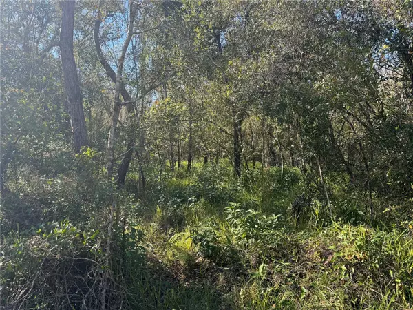 5405 NE RIVER RIDGE AVE, Arcadia, FL 34266