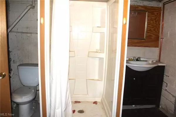 162 Lowell, Youngstown, OH 44512