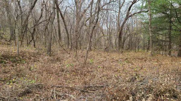 1XX Hazel ST E, Stillwater, MN 55082