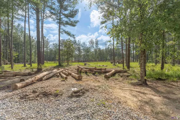 27674 S FROST RD, Livingston, LA 70754