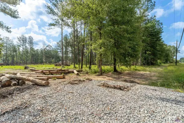 27674 S FROST RD, Livingston, LA 70754