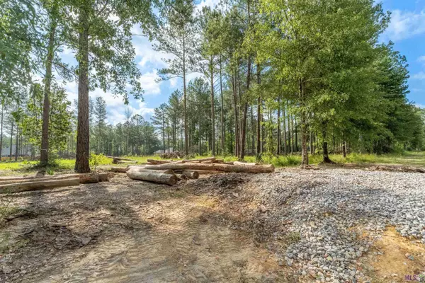 27674 S FROST RD, Livingston, LA 70754