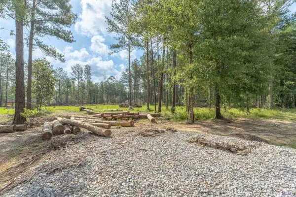 27674 S FROST RD, Livingston, LA 70754