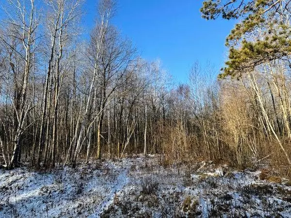 TBD 315th AVE, Laporte, MN 56461