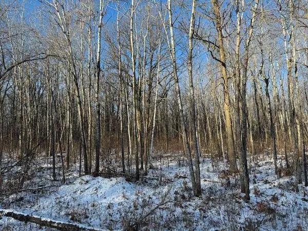 TBD 315th AVE, Laporte, MN 56461