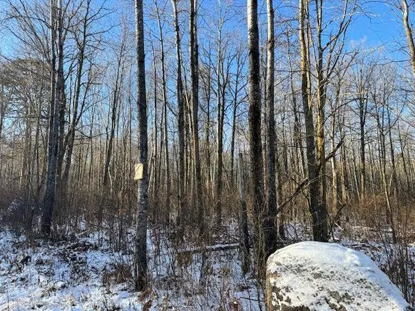 TBD 315th AVE, Laporte, MN 56461