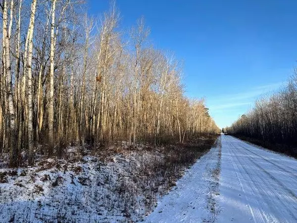 TBD 315th AVE, Laporte, MN 56461