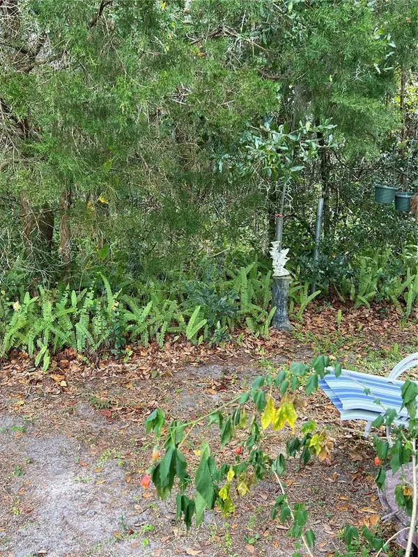 2572 SR 50, Webster, FL 33597