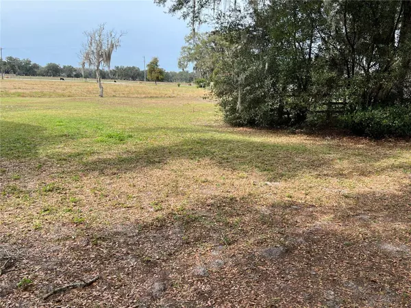 2572 SR 50, Webster, FL 33597